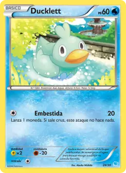 Ducklett, Kit de Entrenador XY (Suicune) No. 24 Normal