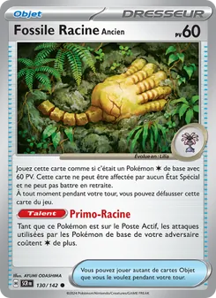 Fossile Racine Ancien, Couronne Stellaire No. 130 Normal