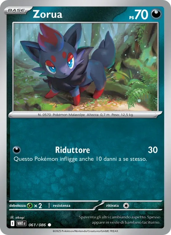 Zorua, Fuoco Bianco No. 061