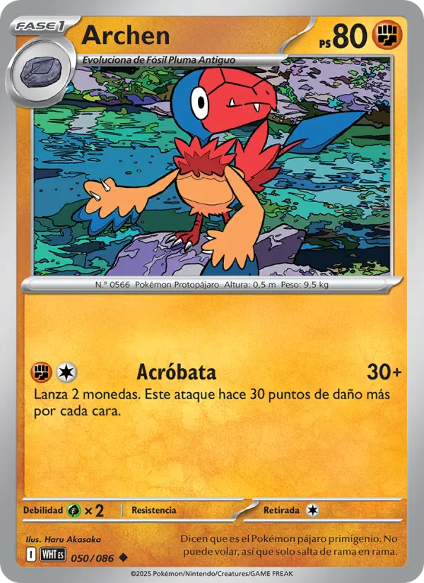 Archen, Llama Blanca No. 050