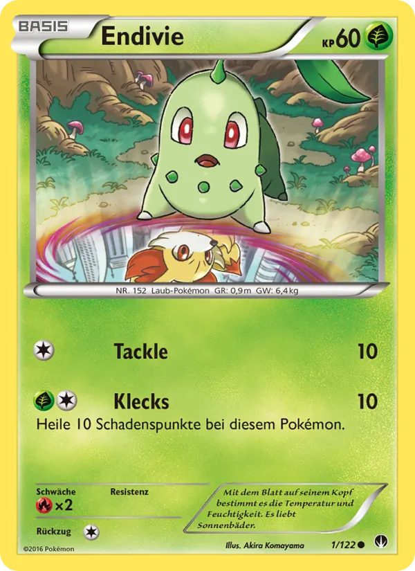 Endivie, TURBOfieber No. 1