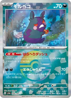 モルペコ, テラスタルフェスex Nº 098 Normal