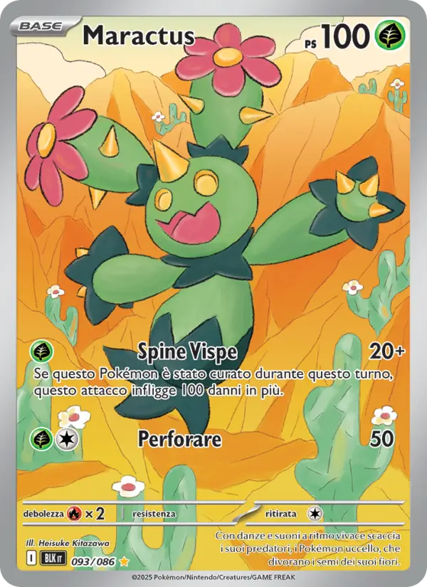 Maractus, Luce Nera Nº 093