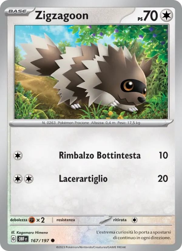 Zigzagoon, Ossidiana Infuocata Nº 167