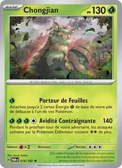 Chongjian, Faille Paradoxe No. 018 Holo