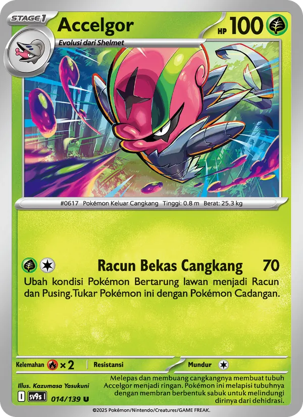 Accelgor, Ikatan Takdir No. 014
