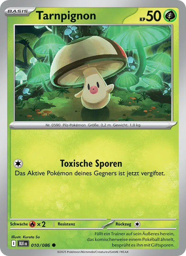 Tarnpignon, Schwarze Blitze No. 010
