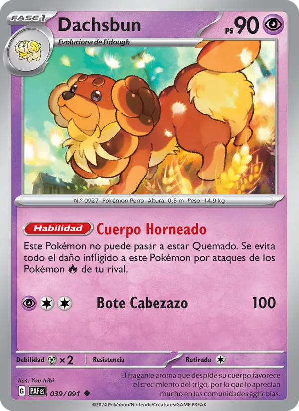 Dachsbun, Destinos de Paldea Nº 039