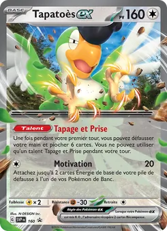 Tapatoès-ex, SVP Black Star Promos No. 160 Holo