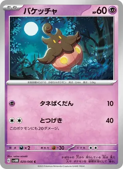 バケッチャ, 未来の一閃 No. 029 Normal