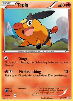 Tepig, BW Black Star Promos No. BW07