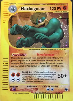 Mackogneur, Expedition No. 16 Holo