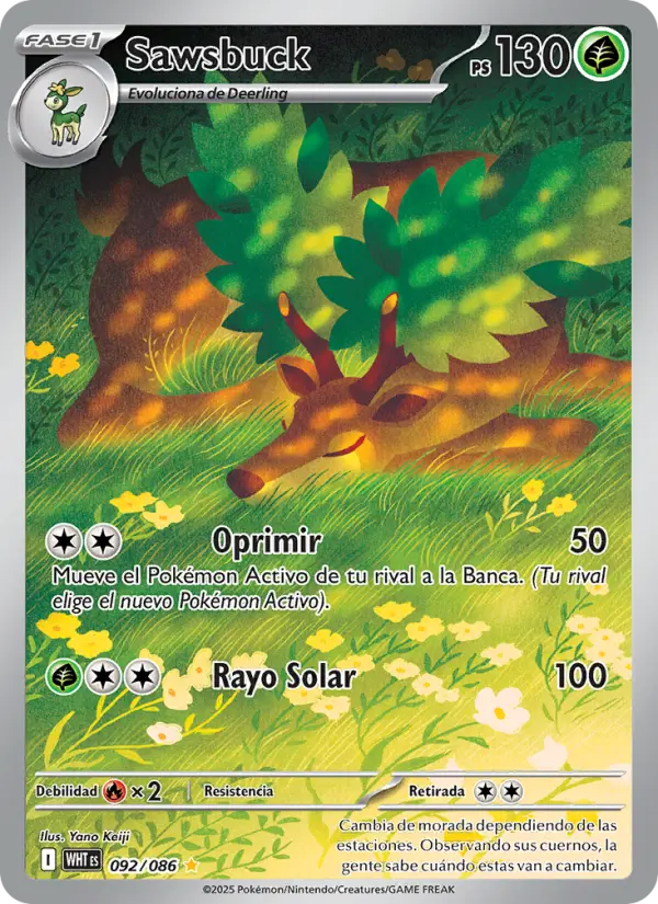 Sawsbuck, Llama Blanca No. 092