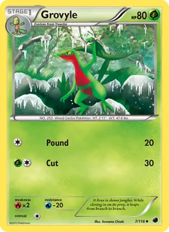 Grovyle, Plasma Freeze No. 7