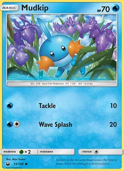 Mudkip, Celestial Storm No. 33 Normal