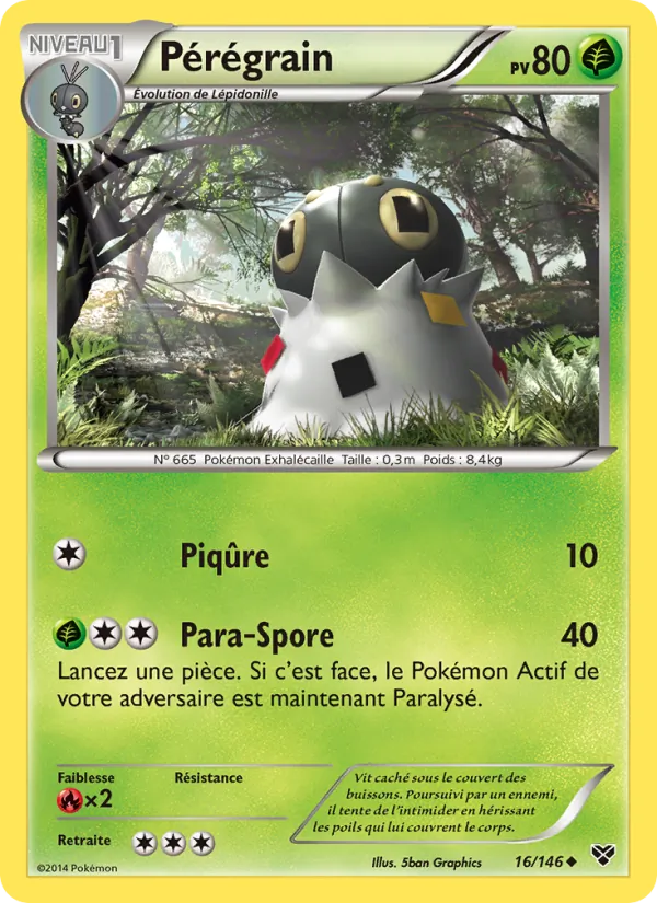 Pérégrain, XY No. 16