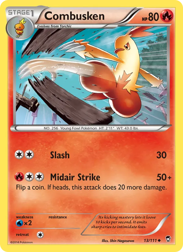 Combusken, Furious Fists No. 13
