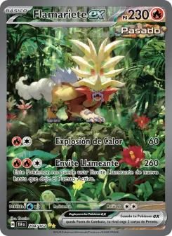 Flamariete ex, Fuerzas Temporales No. 204 Holo