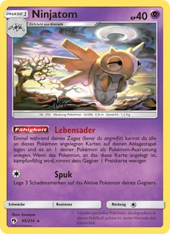 Ninjatom, Echo des Donners Nº 95 Normal