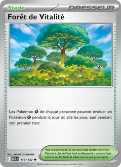 Forêt de Vitalité, Méga-Évolution Nº 117 Normal