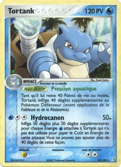 Tortank, EX Gardiens de Cristal Nº 14 Normal
