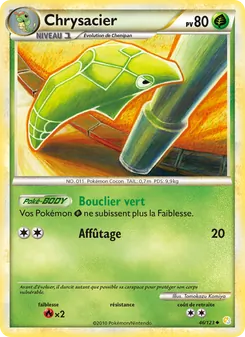 Chrysacier, HeartGold SoulSilver No. 46 Normal