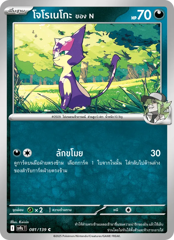 โจโรเนโกะ <ของ N>, สายใยแห่งโชคชะตา No. 081