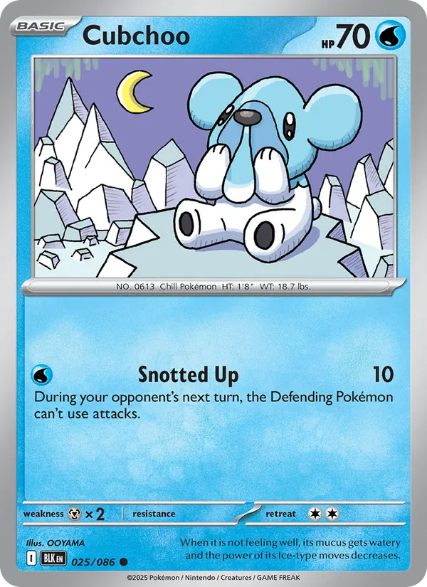 Cubchoo, Black Bolt No. 025