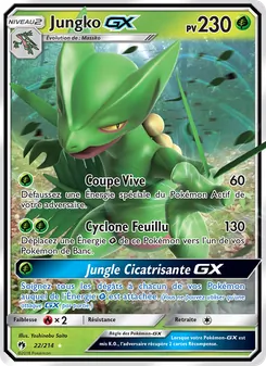 Jungko GX, Tonnerre Perdu No. 22 Normal