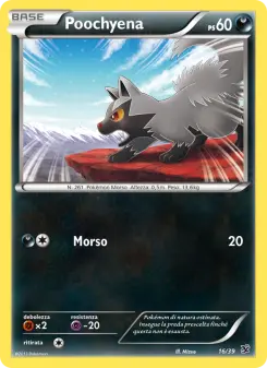 Poochyena, Benvenuti a Kalos Nº 16 Normal