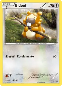 Bidoof, Benvenuti a Kalos No. 29 Normal