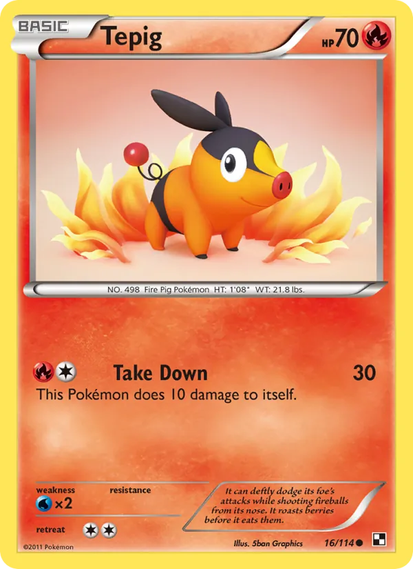 Tepig, Black & White Nº 16