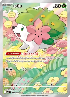 เชมิน, สายใยแห่งโชคชะตา Nº 141 Normal