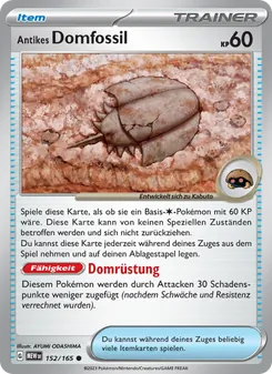 Antikes Domfossil, 151 Nº 152 Normal