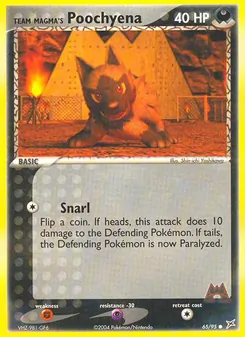 Team Magma's Poochyena, Team Magma vs Team Aqua Nº 65 Normal