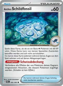 Antikes Schildfossil, Schwarze Blitze No. 080 Normal
