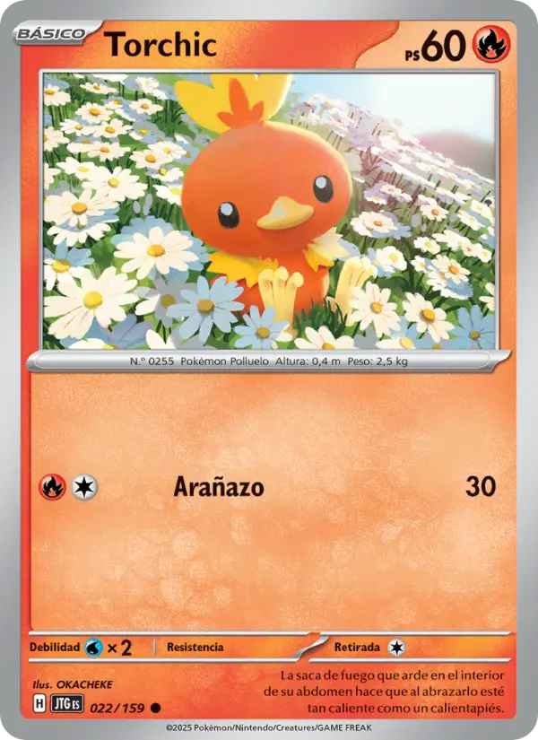 Torchic, Juntos de Aventuras Nº 022
