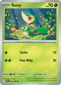 Snivy, Black Bolt No. 001