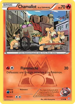 Chamallot de la Team Magma, Double Danger Nº 1 Normal