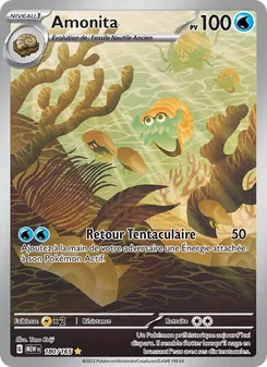 Amonita, 151 No. 180 Holo