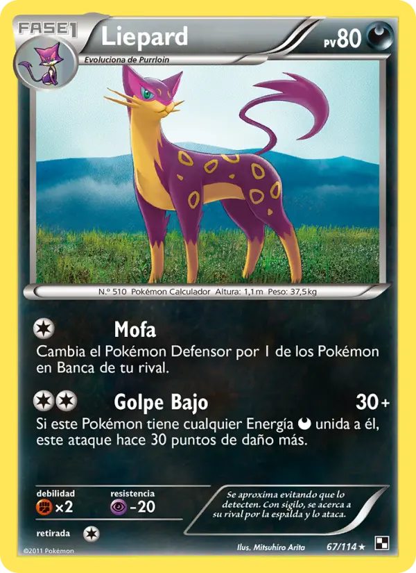 Liepard, Negro y Blanco No. 67
