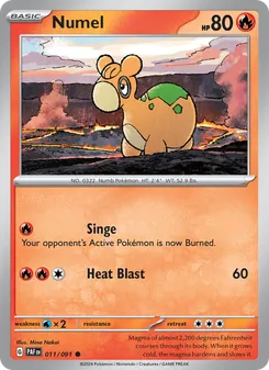 Numel, Paldean Fates No. 011 Normal