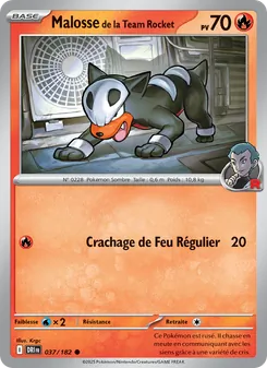 Malosse de la Team Rocket, Rivalités Destinées No. 037 Normal
