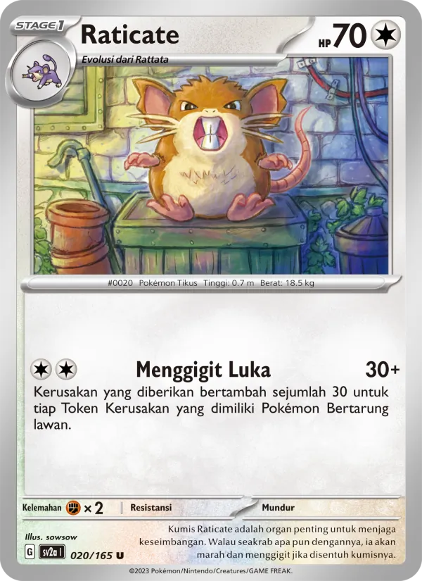 Raticate, Kartu Pokémon 151 No. 020