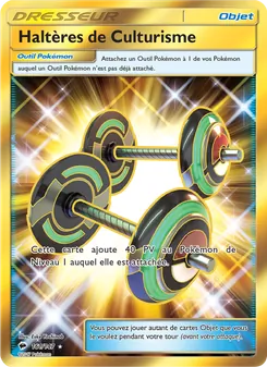 Haltères de Culturisme, Ombres Ardentes Nº 161 Holo