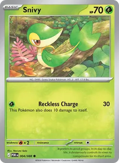 Snivy, Perfect Order No. 004