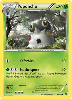 Puponcho, XY No. 16 Normal