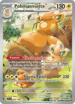 Pohmarmotte, Écarlate et Violet Nº 209 Holo