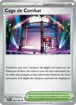 Cage de Combat, Flammes Fantasmagoriques No. 085 Normal