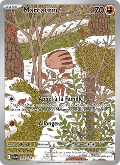 Marcacrin, Aventures Ensemble No. 165 Holo